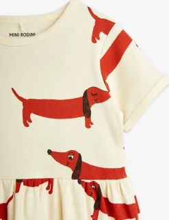 Dog klänning