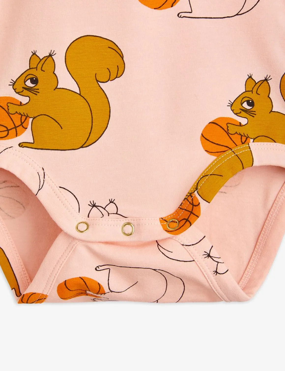 Squirrels Body